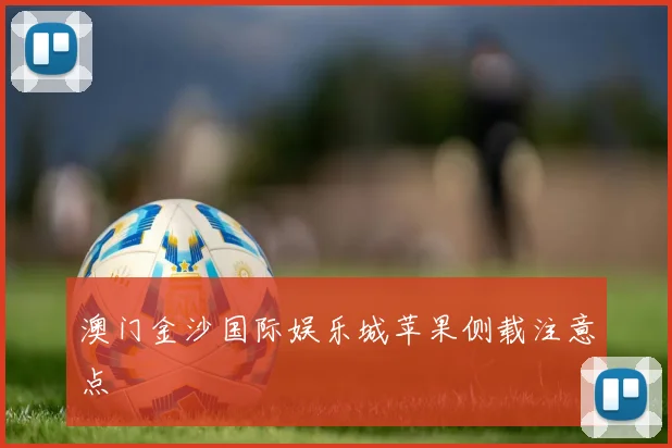 澳门金沙国际娱乐城苹果侧载注意点